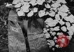 Image of Göring on Heroes Memorial Day Berlin Germany, 1938, second 43 stock footage video 65675050929
