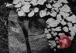 Image of Göring on Heroes Memorial Day Berlin Germany, 1938, second 44 stock footage video 65675050929
