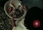 Standbild Vietnamesische Flüchtlinge in Eglin Air Force Base Speisesaal United States USA, 1975, aus Sekunde 37 historischem Filmmaterial Videoclip 65675050948