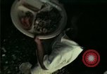 Standbild Vietnamesische Flüchtlinge in Eglin Air Force Base Speisesaal United States USA, 1975, aus Sekunde 41 historischem Filmmaterial Videoclip 65675050948
