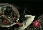 Standbild Vietnamesische Flüchtlinge in Eglin Air Force Base Speisesaal United States USA, 1975, aus Sekunde 45 historischem Filmmaterial Videoclip 65675050948