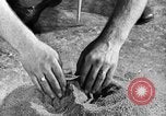 Immagine di La potenza elettrica di risorse Pittsfield Massachusetts USA, 1936, secondo 37 filmato di repertorio 65675050964