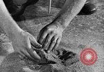 Immagine di La potenza elettrica di risorse Pittsfield Massachusetts USA, 1936, secondo 38 filmato di repertorio 65675050964