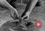 Immagine di La potenza elettrica di risorse Pittsfield Massachusetts USA, 1936, secondo 41 filmato di repertorio 65675050964