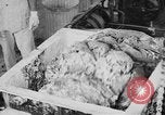 Image of production of chewing gum United States USA, 1919, second 37 stock footage video 65675050979