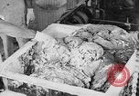 Image of production of chewing gum United States USA, 1919, second 38 stock footage video 65675050979