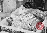 Image of production of chewing gum United States USA, 1919, second 40 stock footage video 65675050979