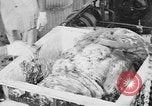 Image of production of chewing gum United States USA, 1919, second 42 stock footage video 65675050979
