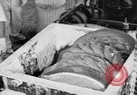 Image of production of chewing gum United States USA, 1919, second 46 stock footage video 65675050979