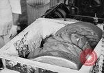 Image of production of chewing gum United States USA, 1919, second 47 stock footage video 65675050979
