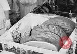 Image of production of chewing gum United States USA, 1919, second 49 stock footage video 65675050979