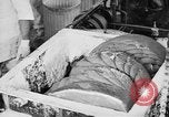 Image of production of chewing gum United States USA, 1919, second 50 stock footage video 65675050979