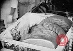Image of production of chewing gum United States USA, 1919, second 51 stock footage video 65675050979