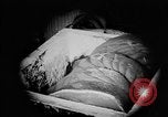 Image of production of chewing gum United States USA, 1919, second 52 stock footage video 65675050979