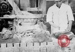 Image of production of chewing gum United States USA, 1919, second 60 stock footage video 65675050979