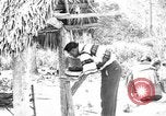 Immagine di Seminole nativi indiani americani cucinare il cibo Florida United States USA, 1919, secondo 47 filmato di repertorio 65675050982
