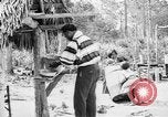 Immagine di Seminole nativi indiani americani cucinare il cibo Florida United States USA, 1919, secondo 54 filmato di repertorio 65675050982