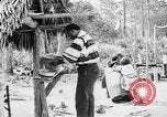 Immagine di Seminole nativi indiani americani cucinare il cibo Florida United States USA, 1919, secondo 56 filmato di repertorio 65675050982
