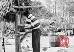 Immagine di Seminole nativi indiani americani cucinare il cibo Florida United States USA, 1919, secondo 57 filmato di repertorio 65675050982