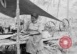 Immagine di Seminole nativi indiani americani cucinare il cibo Florida United States USA, 1919, secondo 62 filmato di repertorio 65675050982
