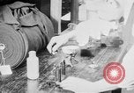 Immagine di Fabbrica di Indumento United States USA, 1920, secondo 24 filmato di repertorio 65675050983
