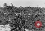 Image Corps de formation des officiers de réserve Columbia South Carolina USA, 1920, de la seconde 29 séquences d'archives historiques vidéo 65675050986