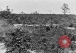 Image Corps de formation des officiers de réserve Columbia South Carolina USA, 1920, de la seconde 34 séquences d'archives historiques vidéo 65675050986