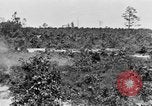 Image Corps de formation des officiers de réserve Columbia South Carolina USA, 1920, de la seconde 38 séquences d'archives historiques vidéo 65675050986