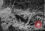 Image of American artillery in action World War 1 European Theater, 1918, second 3 stock footage video 65675051029