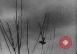 Image of dogfight of aircraft European Theater, 1918, second 26 stock footage video 65675051030