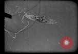 Image of development of air power United States USA, 1930, second 29 stock footage video 65675051076