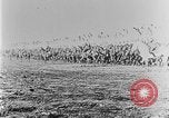 Image of Kaiser Wilhelm II Germany, 1914, second 29 stock footage video 65675051115