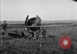 Standbild American Expeditionary Forces Frankreich, 1918, aus Sekunde 16 historischem Filmmaterial Videoclip 65675051121