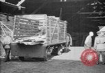 Image avions étant construits en allemand Albatros factory Berlin Allemagne, 1917, de la seconde 37 séquences d'archives historiques vidéo 65675051130