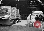 Image avions étant construits en allemand Albatros factory Berlin Allemagne, 1917, de la seconde 39 séquences d'archives historiques vidéo 65675051130