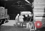 Image avions étant construits en allemand Albatros factory Berlin Allemagne, 1917, de la seconde 42 séquences d'archives historiques vidéo 65675051130