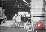 Image avions étant construits en allemand Albatros factory Berlin Allemagne, 1917, de la seconde 43 séquences d'archives historiques vidéo 65675051130