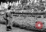 Standbild Saint Mihiel Offensive Saint Mihiel Frankreich, 1918, aus Sekunde 41 historischem Filmmaterial Videoclip 65675051149