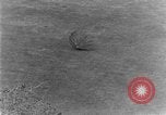 Standbild Brackenridge Park San Antonio Texas USA, 1928, aus Sekunde 32 historischem Filmmaterial Videoclip 65675051160