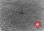 Standbild Brackenridge Park San Antonio Texas USA, 1928, aus Sekunde 33 historischem Filmmaterial Videoclip 65675051160