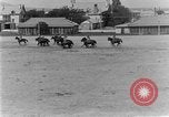 Image of 5th Cavalry Regiment Texas United States USA, 1928, second 39 stock footage video 65675051161