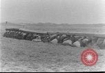 Image of 5th Cavalry Regiment Texas United States USA, 1928, second 34 stock footage video 65675051163