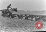 Image of 5th Cavalry Regiment Texas United States USA, 1928, second 35 stock footage video 65675051163