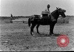 Image of 5th Cavalry Regiment Texas United States USA, 1928, second 57 stock footage video 65675051163