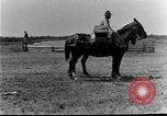 Image of 5th Cavalry Regiment Texas United States USA, 1928, second 61 stock footage video 65675051163