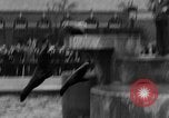 Image of fur fashions New York City USA, 1935, second 3 stock footage video 65675051172
