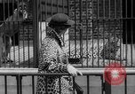 Image of fur fashions New York City USA, 1935, second 12 stock footage video 65675051172
