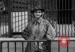 Image of fur fashions New York City USA, 1935, second 16 stock footage video 65675051172
