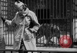 Image of fur fashions New York City USA, 1935, second 23 stock footage video 65675051172