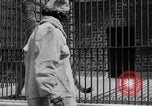 Image of fur fashions New York City USA, 1935, second 25 stock footage video 65675051172